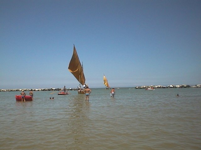 AUT_4455