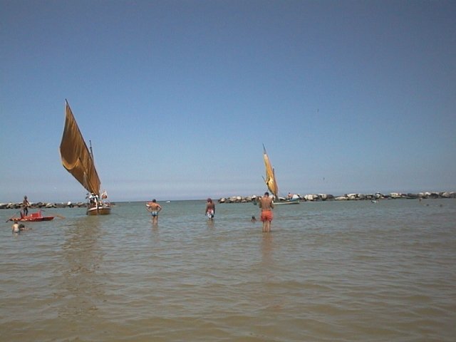 AUT_4456