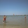 AUT_4451