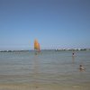 AUT_4452