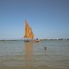AUT_4453