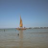 AUT_4454