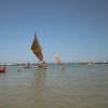 AUT_4455