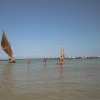 AUT_4456