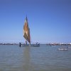 AUT_4460