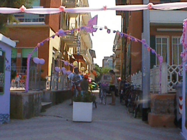 foto1001