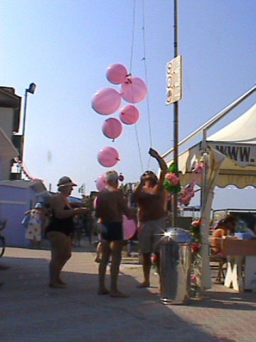 foto2008