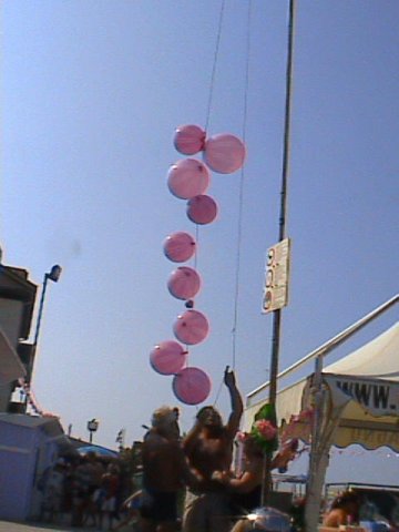 foto2009