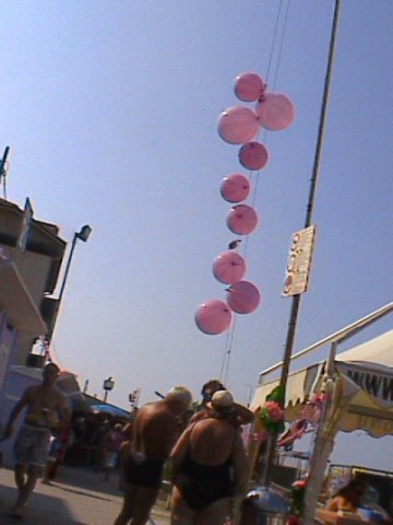 foto2010