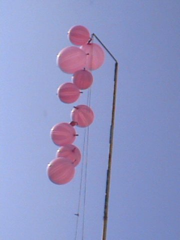 foto2012